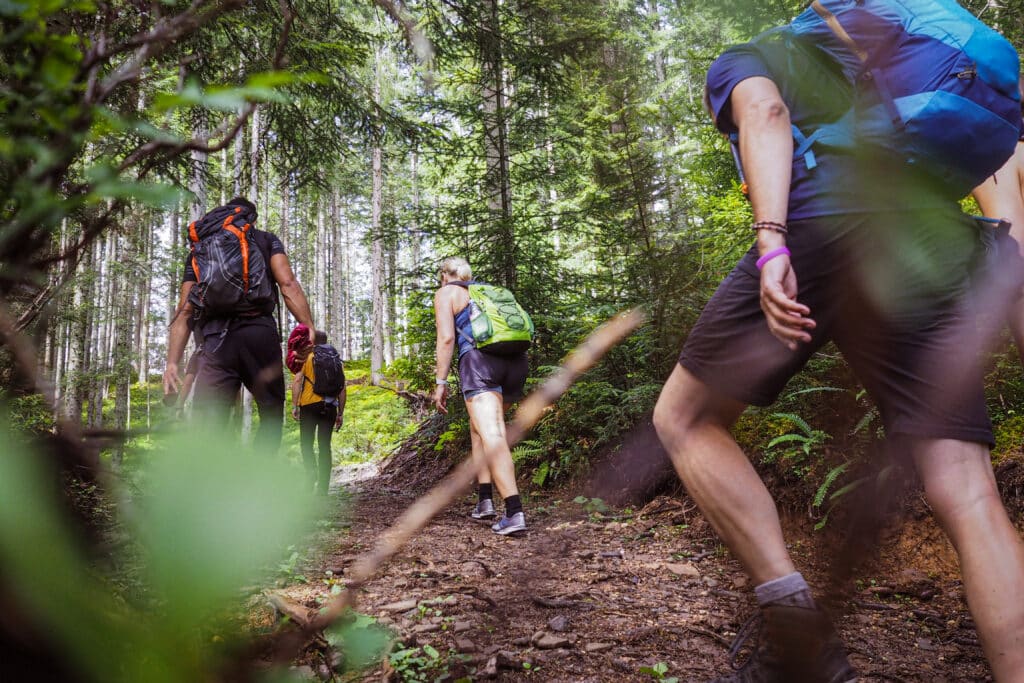 people hiking in the woods